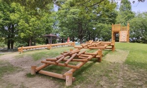 木製遊具、アスレチック