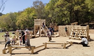 木製遊具、アスレチック