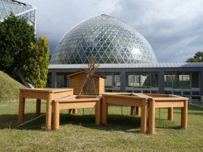 レイズドベッド