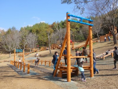 丹波自然運動公園、木製遊具