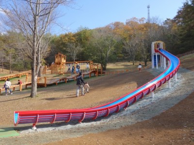 丹波自然運動公園、木製遊具