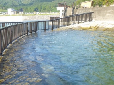 タイダルプール。奥に東屋。
