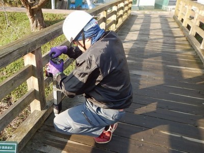 木橋、精密点検
