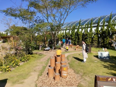 木製遊具、アスレチック遊具