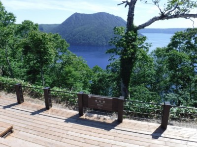 木製デッキ、ウッドデッキ