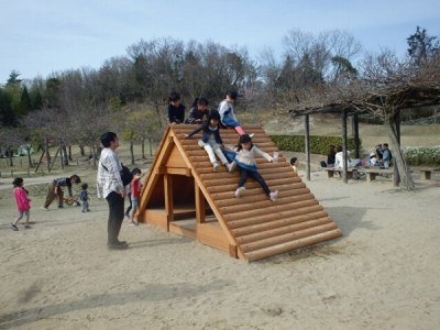 木製遊具、木製アスレチック遊具