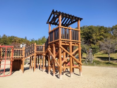 木製遊具、木製アスレチック遊具