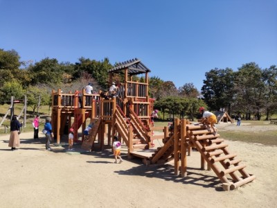 木製遊具、木製アスレチック遊具