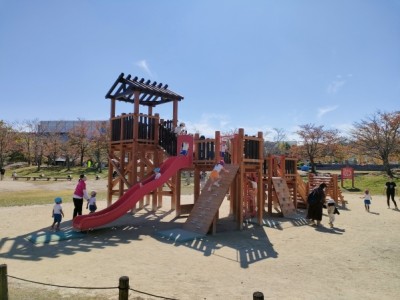 木製遊具、木製アスレチック遊具