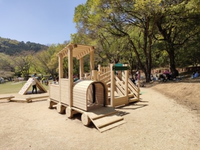 木製遊具、木製アスレチック遊具
