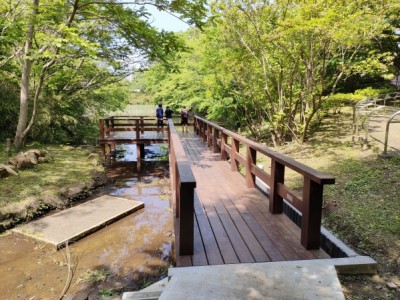 森林環境譲与税、木製デッキ