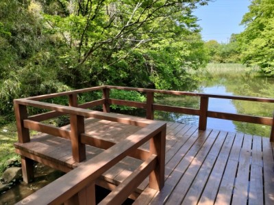 森林環境譲与税、木製デッキ