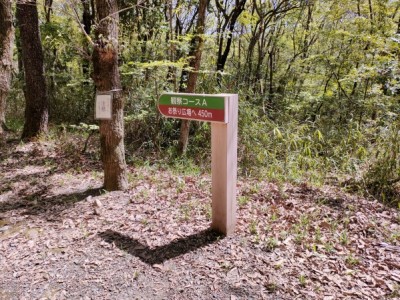 森林環境譲与税、木製東屋、木製サイン