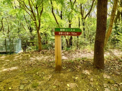 森林環境譲与税、木製東屋、木製サイン