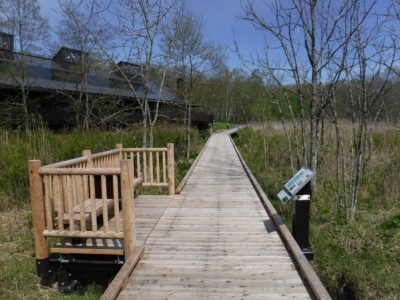 国立公園、木道