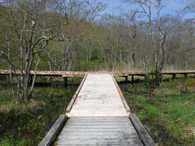 国立公園、木道