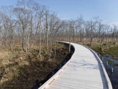 国立公園、木道