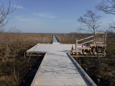 国立公園、木道