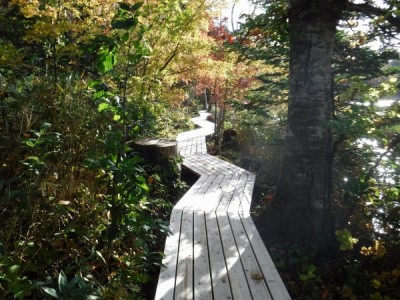 木道、国立公園