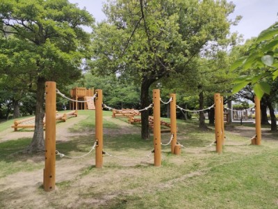 木製遊具、アスレチック