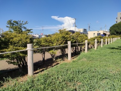 森林環境譲与税、ロープ柵