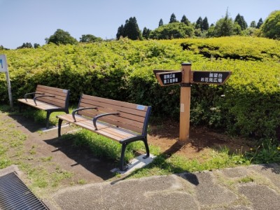 森林環境譲与税、木製サイン