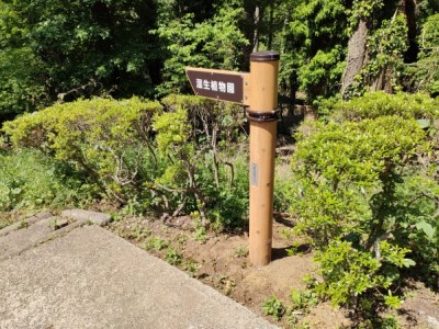 森林環境譲与税、木製サイン