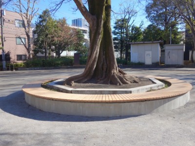 木製サークルベンチ、ロングベンチ