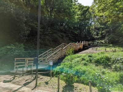 木製階段、木道