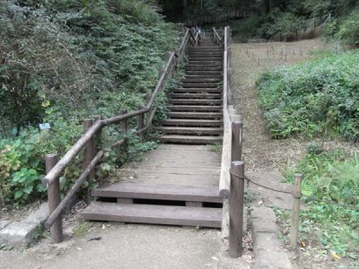 木製階段、木道
