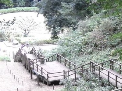 木製階段、木道