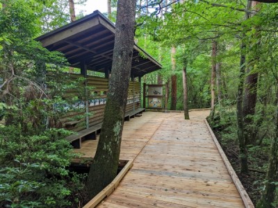 ウッドデッキ、木道