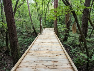 ウッドデッキ、木道