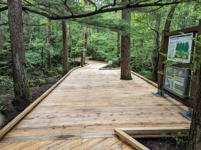 ウッドデッキ、木道