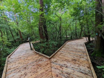 ウッドデッキ、木道