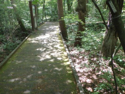 ウッドデッキ、木道