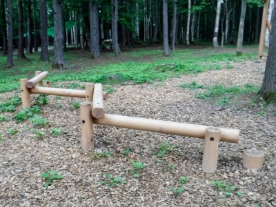 木製遊具、森林環境譲与税