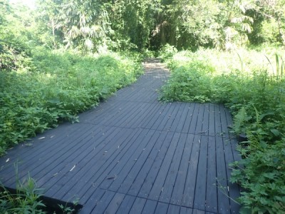 森林環境譲与税、デッキ木道