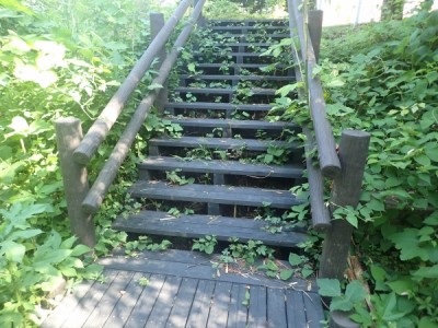 森林環境譲与税、デッキ木道