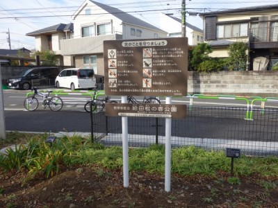 木製健康器具、健康遊具