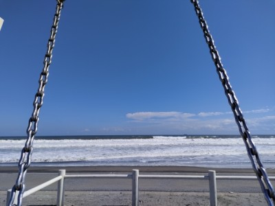 木製ぶらんこ、森林環境譲与税