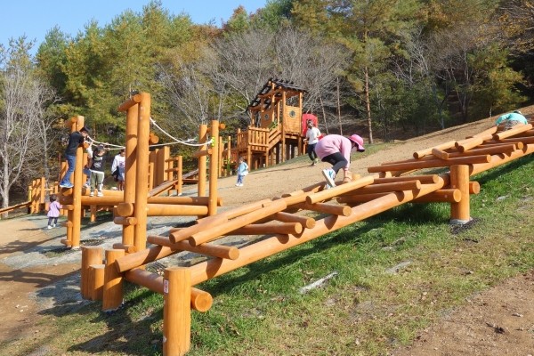 丹波自然運動公園、木製遊具