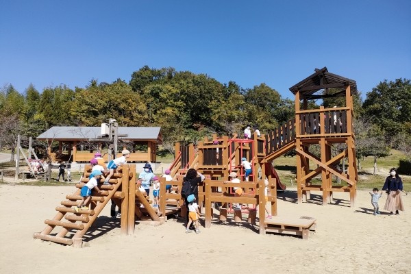 木製遊具、木製アスレチック遊具