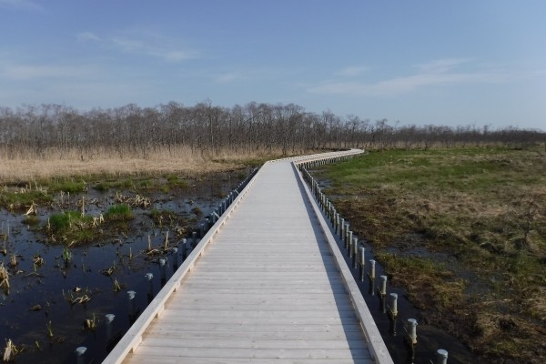 国立公園、木道