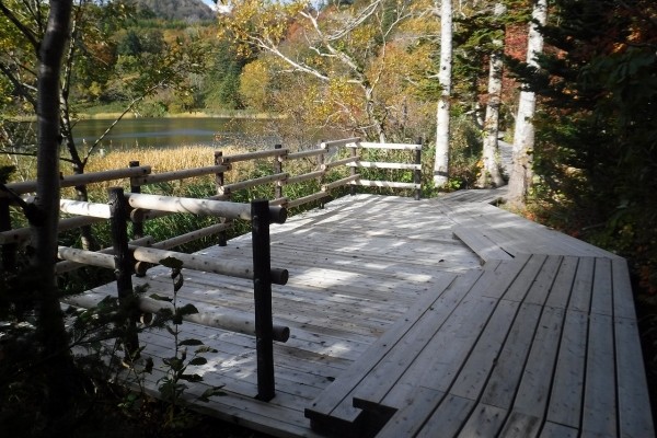 木道、国立公園