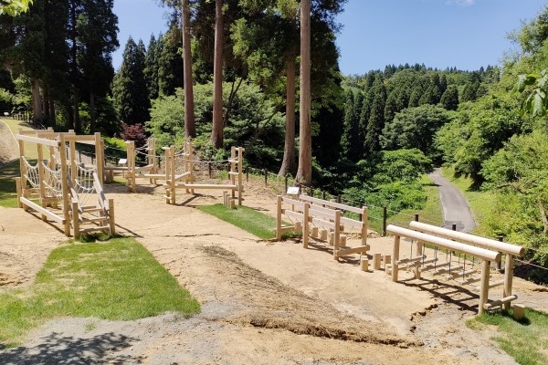 木製遊具、アスレチック