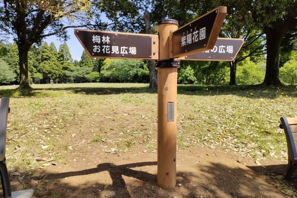 森林環境譲与税、木製サイン