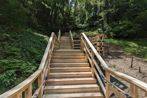 木製階段、木道