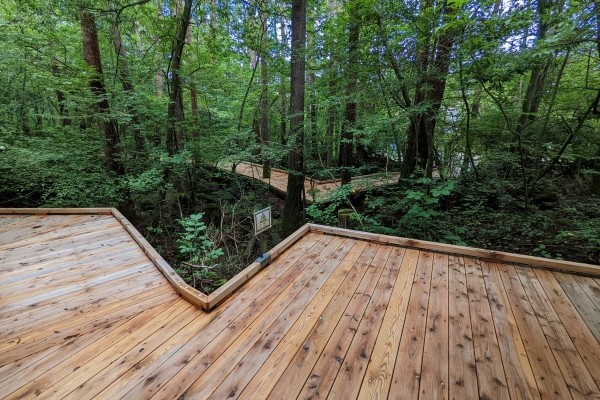 ウッドデッキ、木道