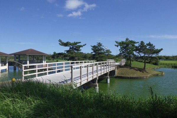 木橋
